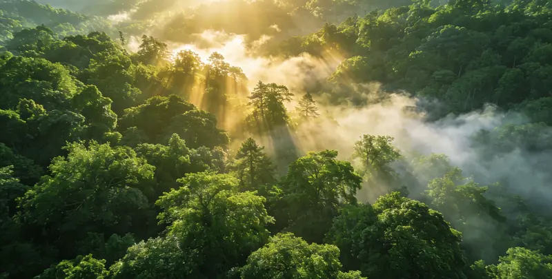 海口肺癌172基因检测图片1